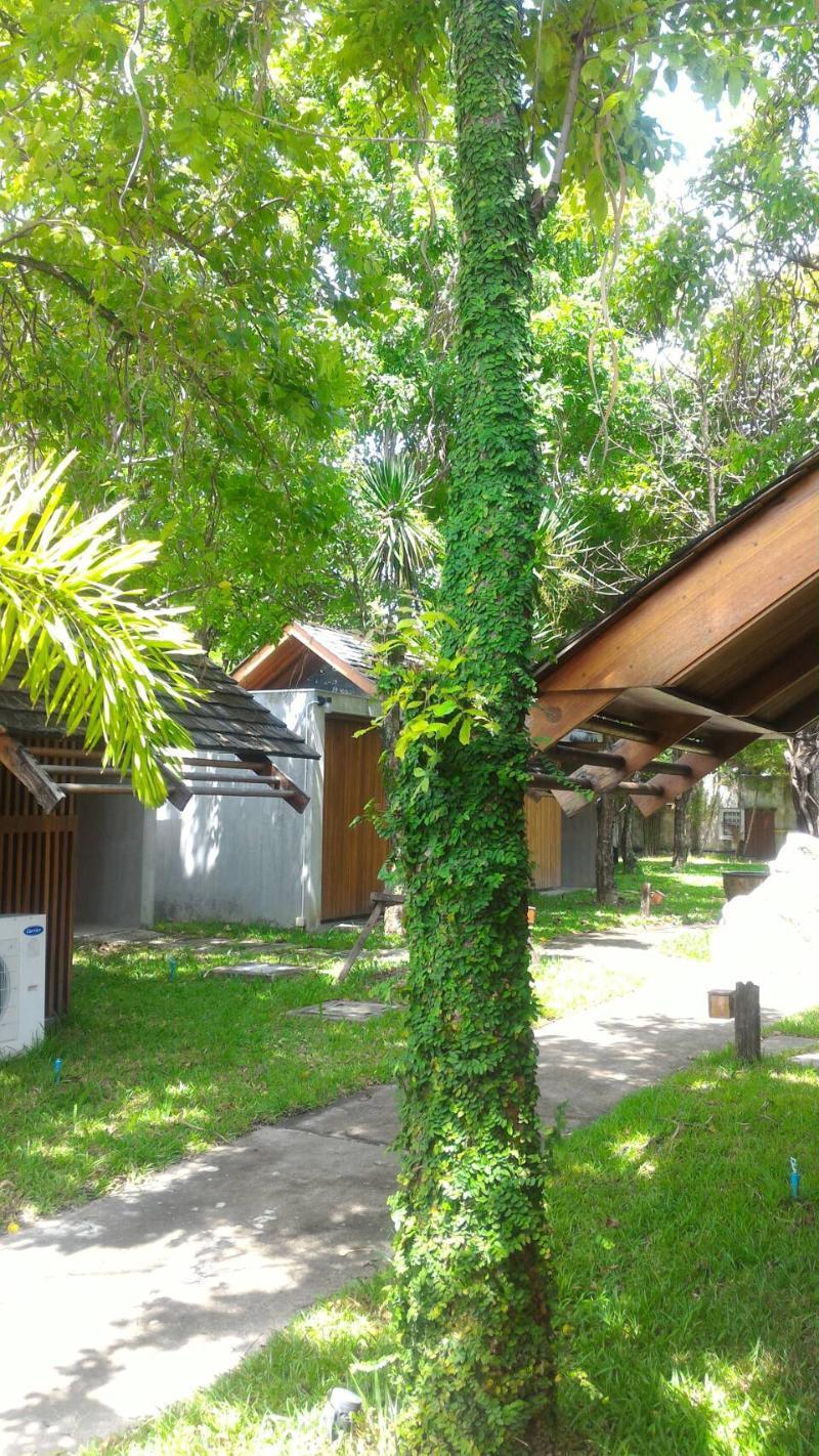 Into The Forest Resort Bangkok Extérieur photo